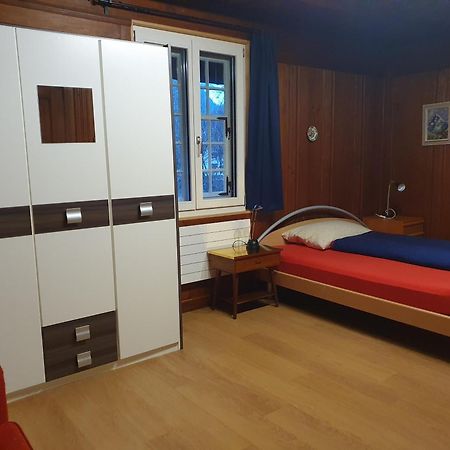 Traditional Swiss-Flat Інтерлакен Екстер'єр фото
